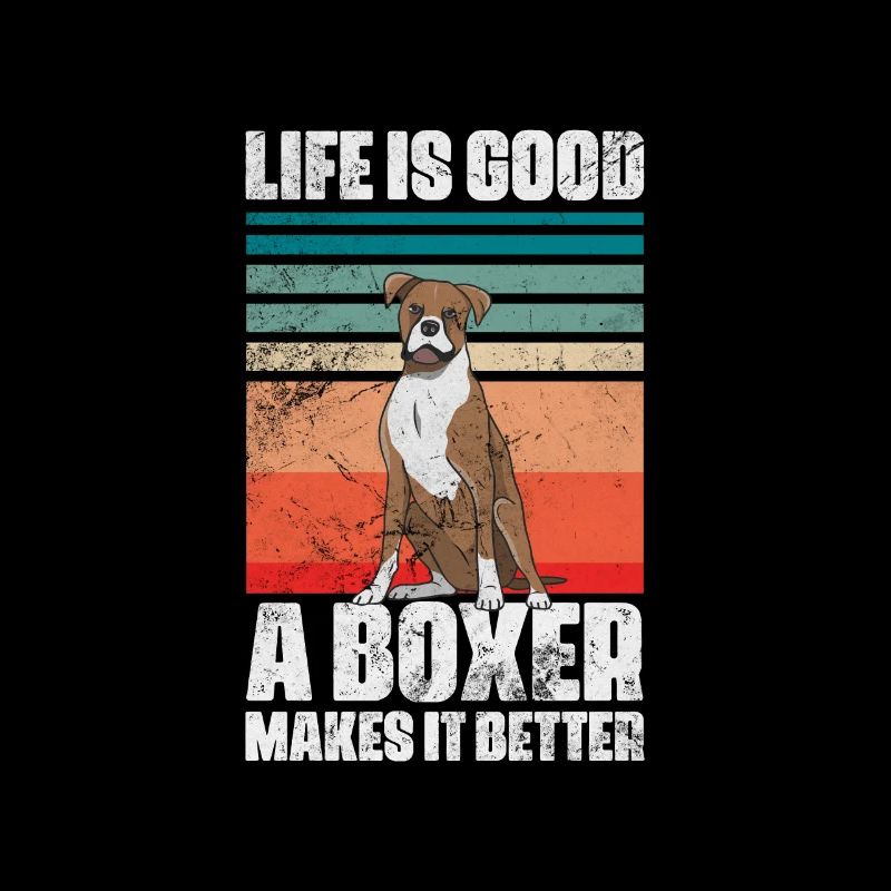 Boxer Hund