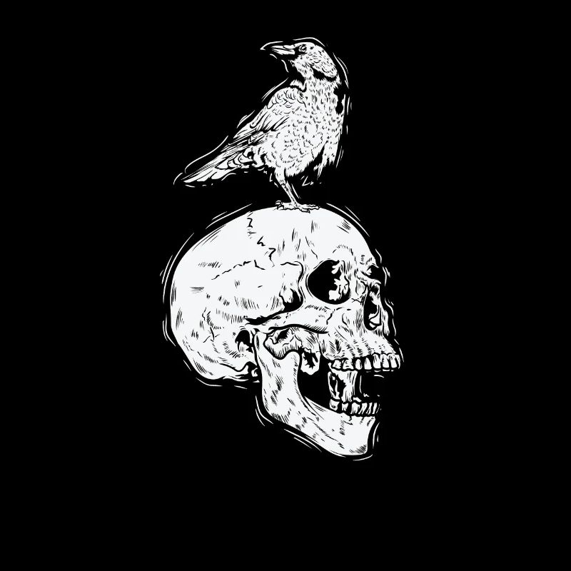 Krähe auf einem Knochenschädel Rabe Vogel