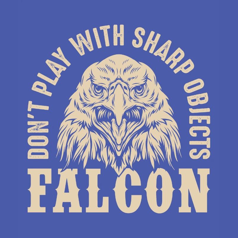 Falcon Sharp objects Falconry Eagle Goshawk Falk