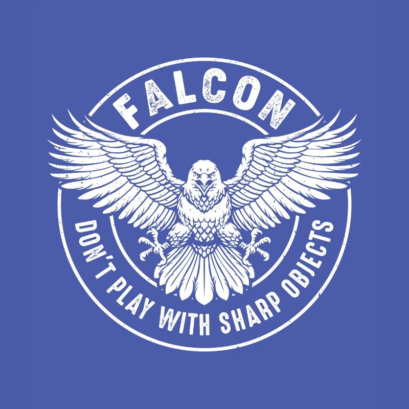 Falcon Sharp objects Falconry Ornithologist Eagle