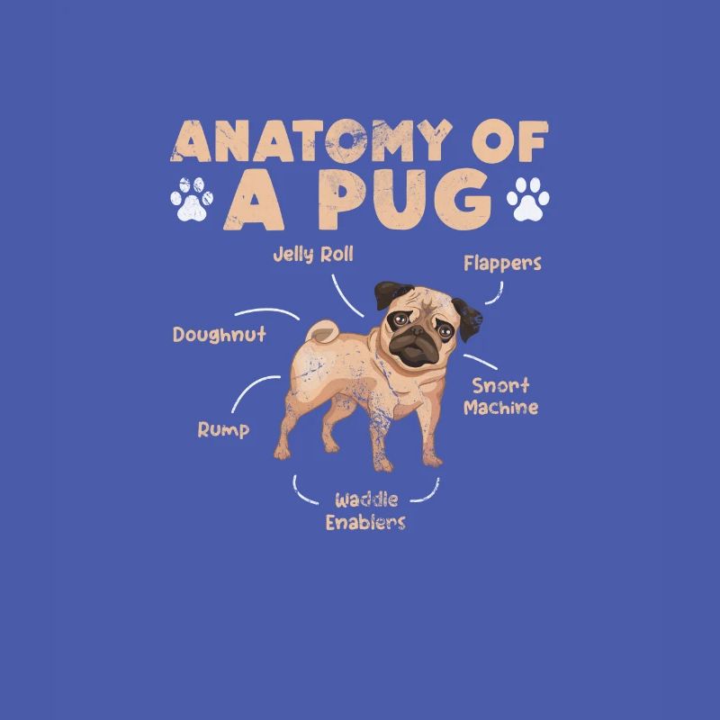 Pug