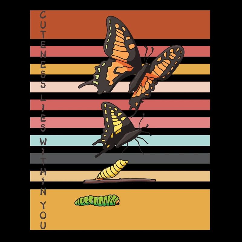 Cute Butterfly Evolution Butterflies