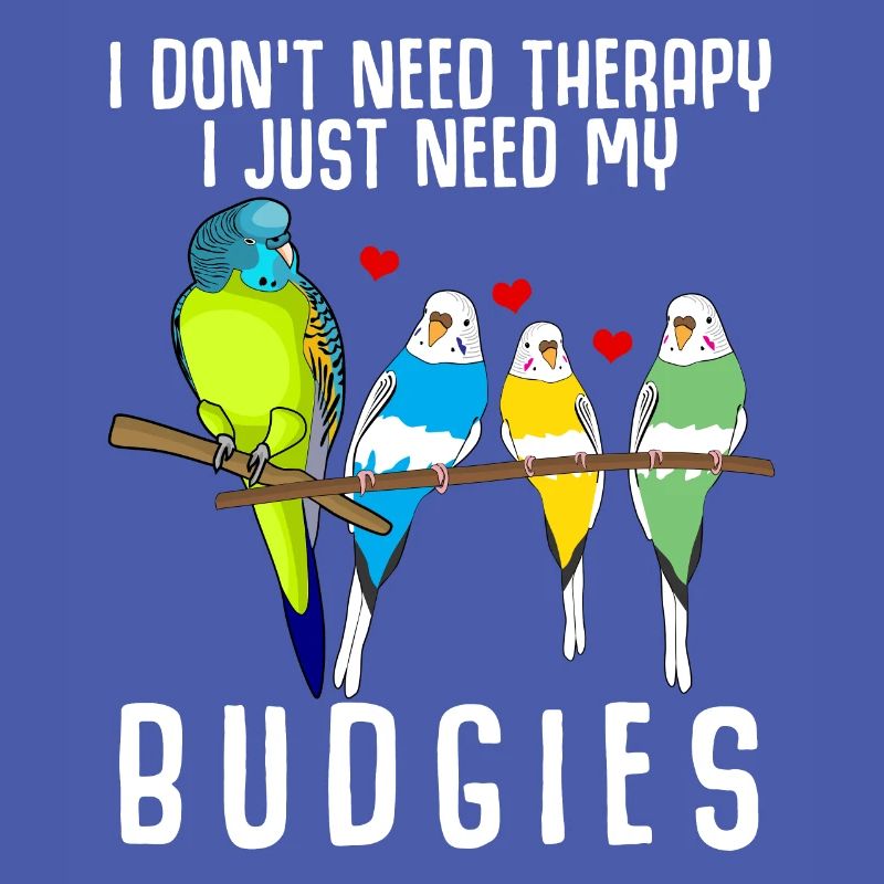 Perruche de Budgerigar