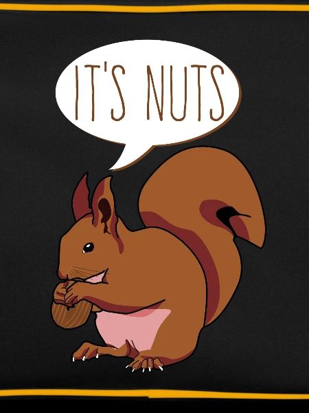 Eichhörnchen It's Nuts Squirrel