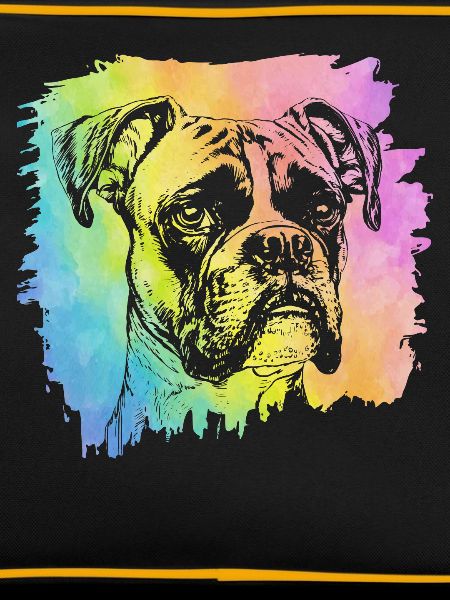 Boxer