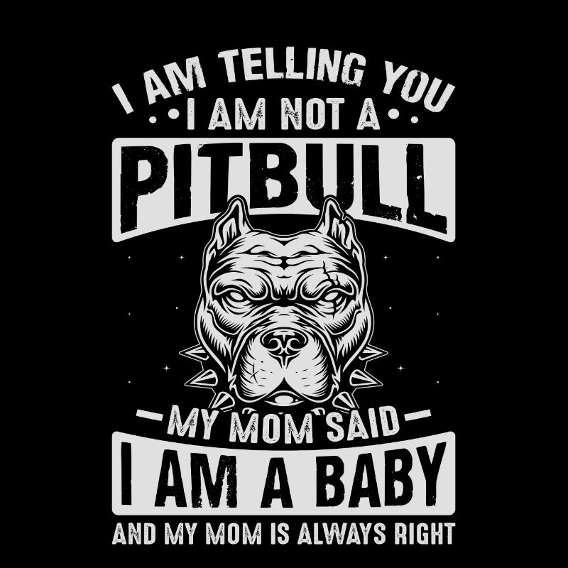 Je te dis pitbull ma mère a dit que je suis un bébé