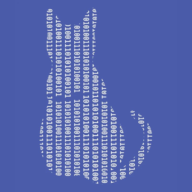 Informaticien Cat Admin Programmeur