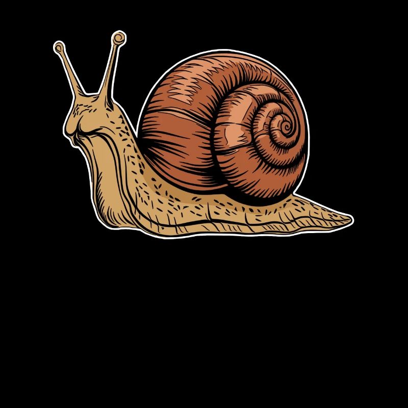 Illustration graphique d’animal d’escargot