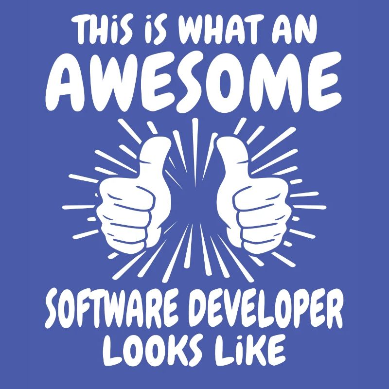 Software Developer