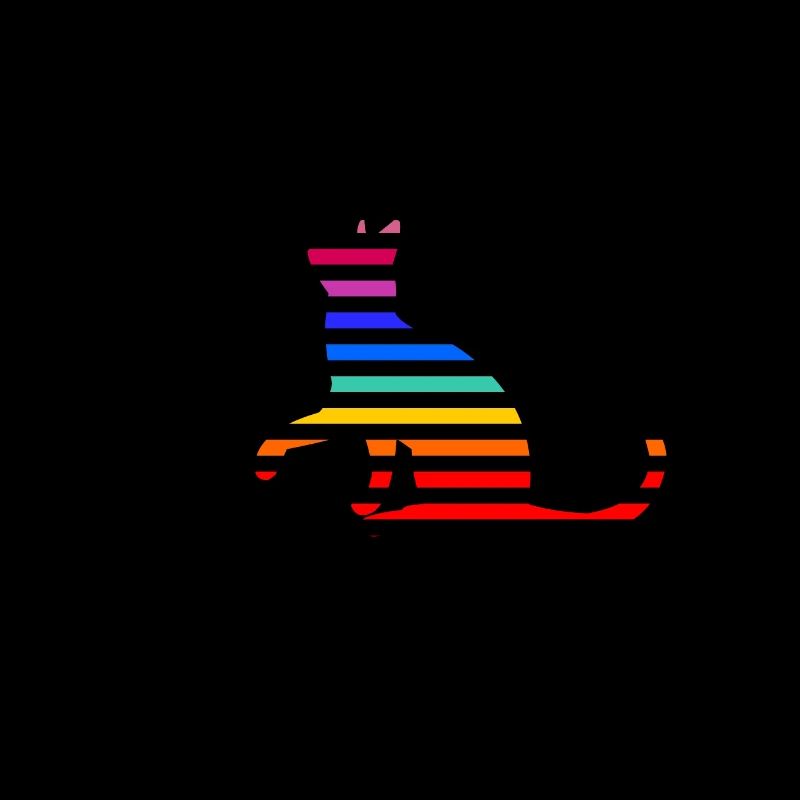 Rainbow Cat