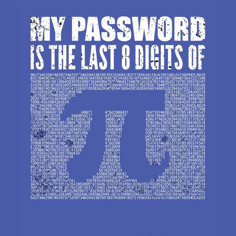 Programmierer Hacker