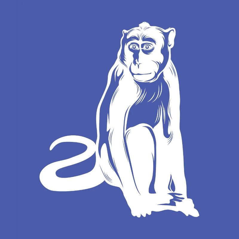 Monkey Monkey Animal