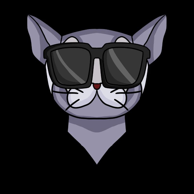 Britisch Kurzhaar Katze mit Sonnenbrille