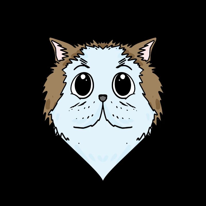 Chat persan Chat Race Chat