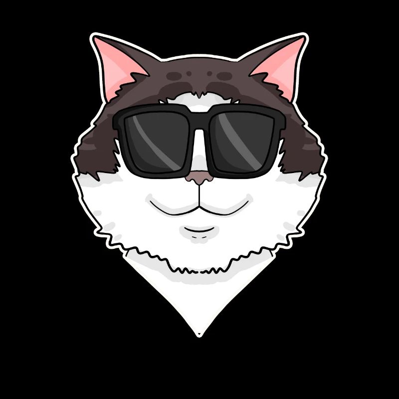 Ragdoll Cat