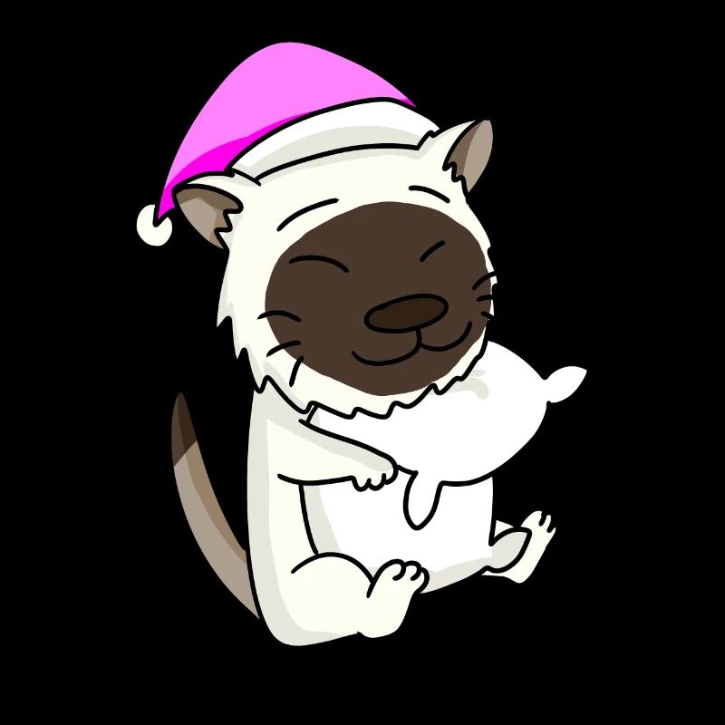 Chat race de chat Birmanie
