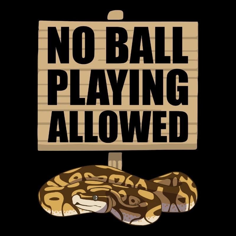Funny Ball Python Snake