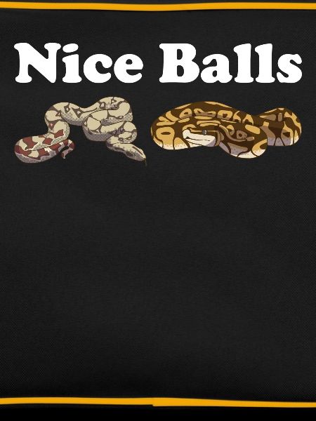 Funny Ball Python Snake