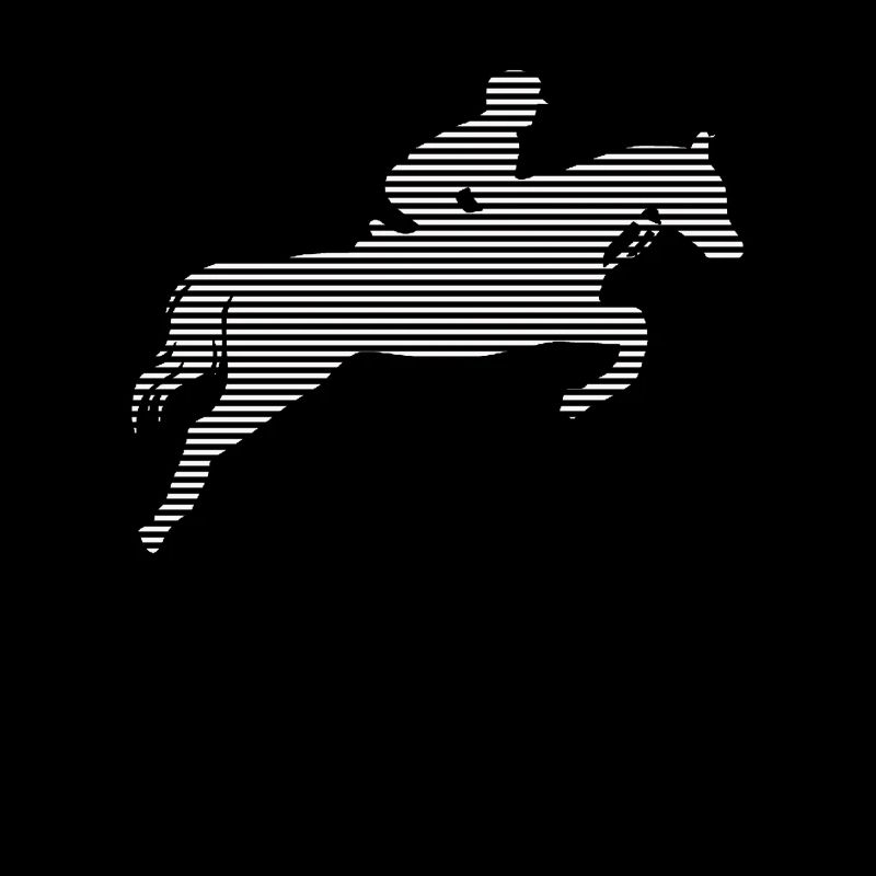 Équitation