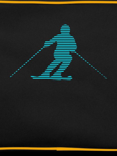 Ski