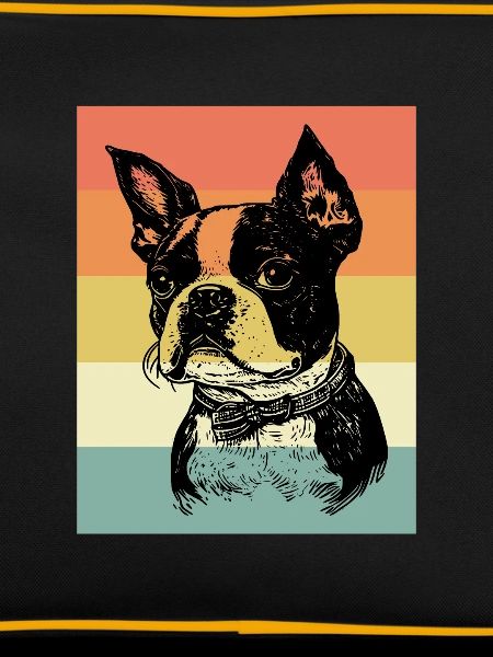 Boston Terrier