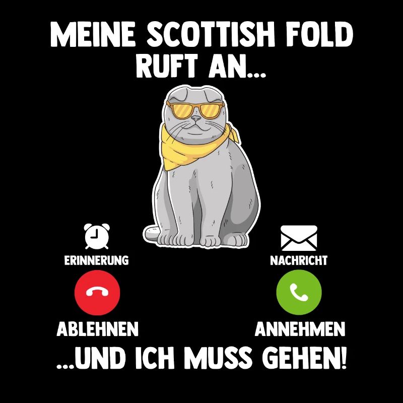 Scottish Fold Katze