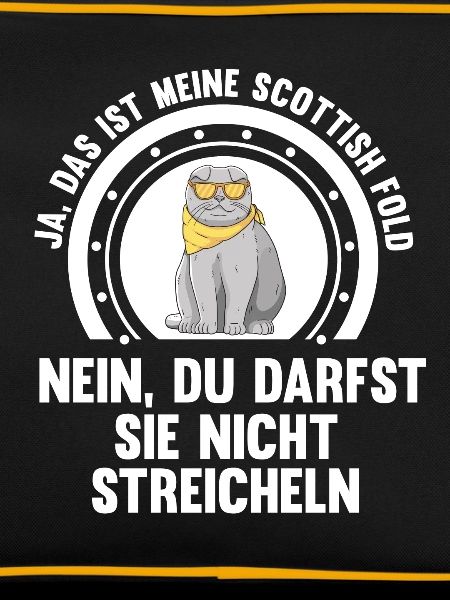 Scottish Fold Katze