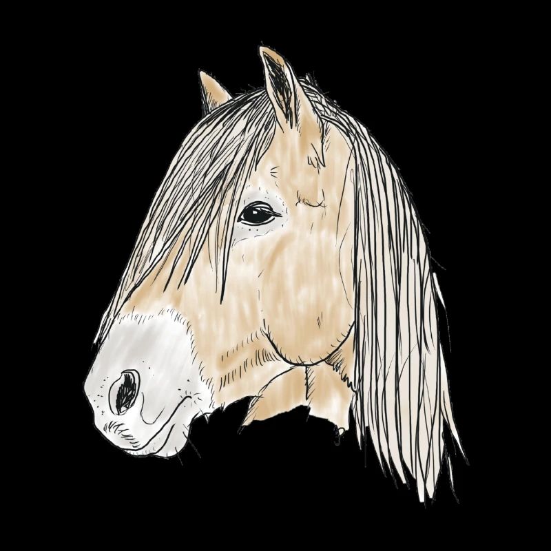 haflinger