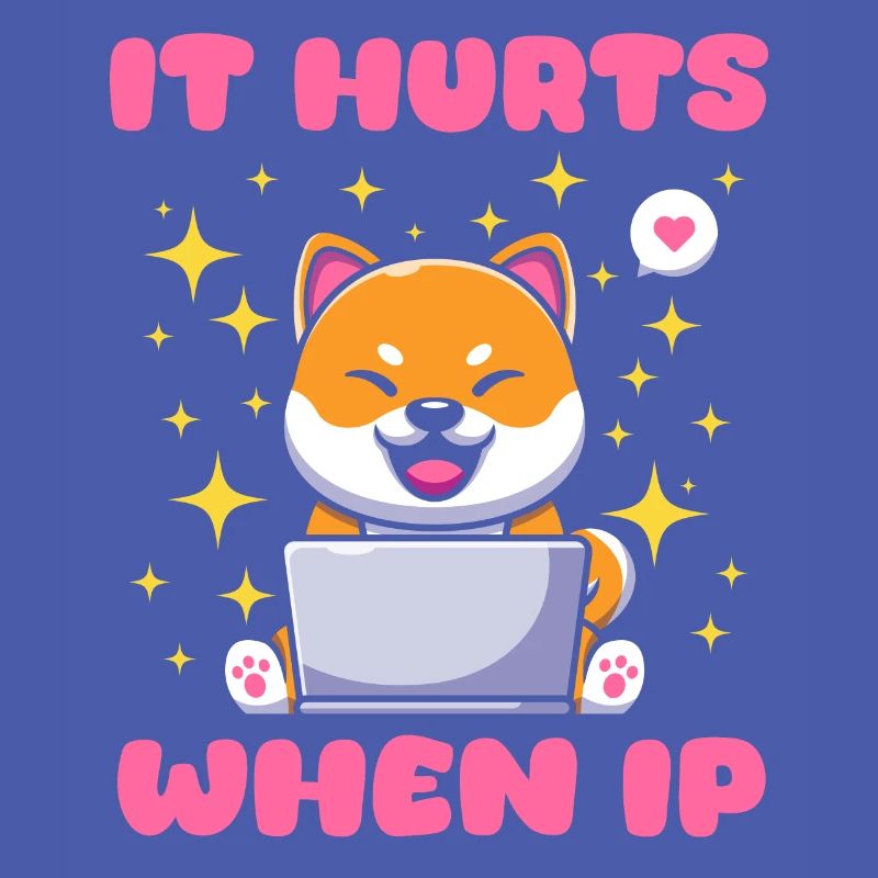 IT Geek, PC Zubehör Speichergeräte Evolution