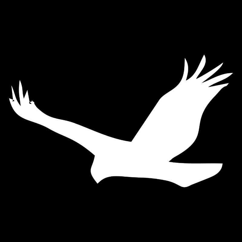 Bird Eagle Birds Fly
