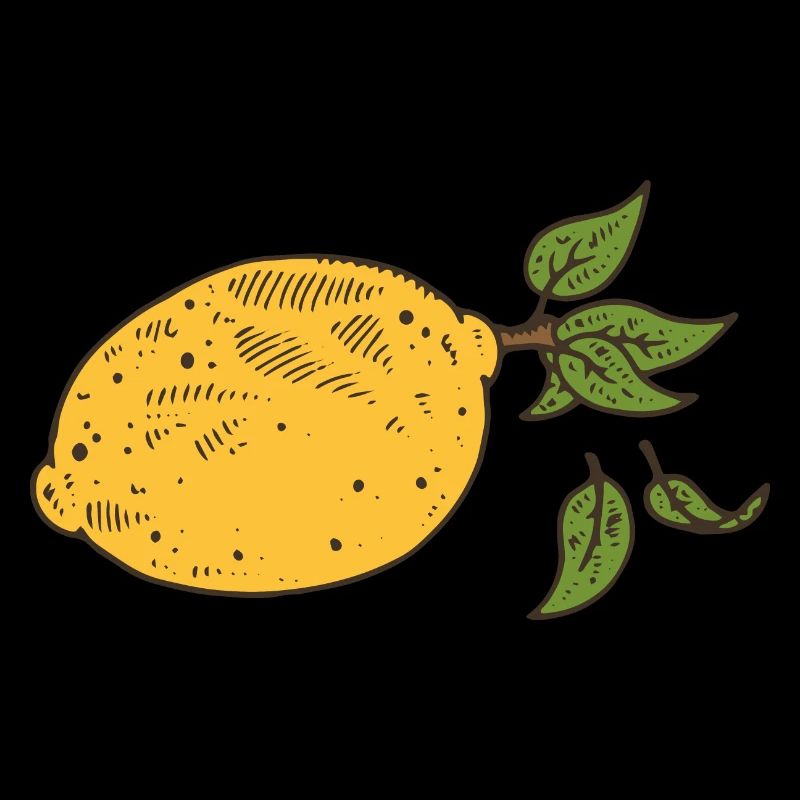 Lemon Lemon Tree Fruit lemon