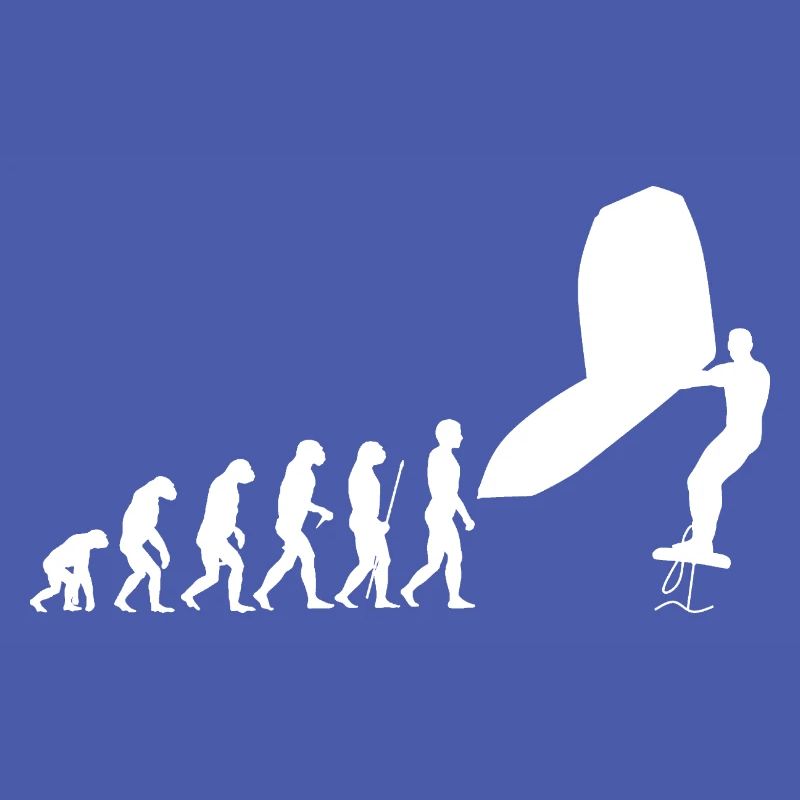 Wingsurf Evolution