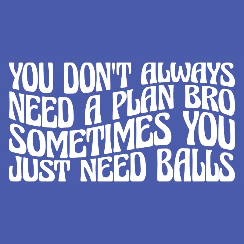 No Plan Needed Just Balls Bro 4