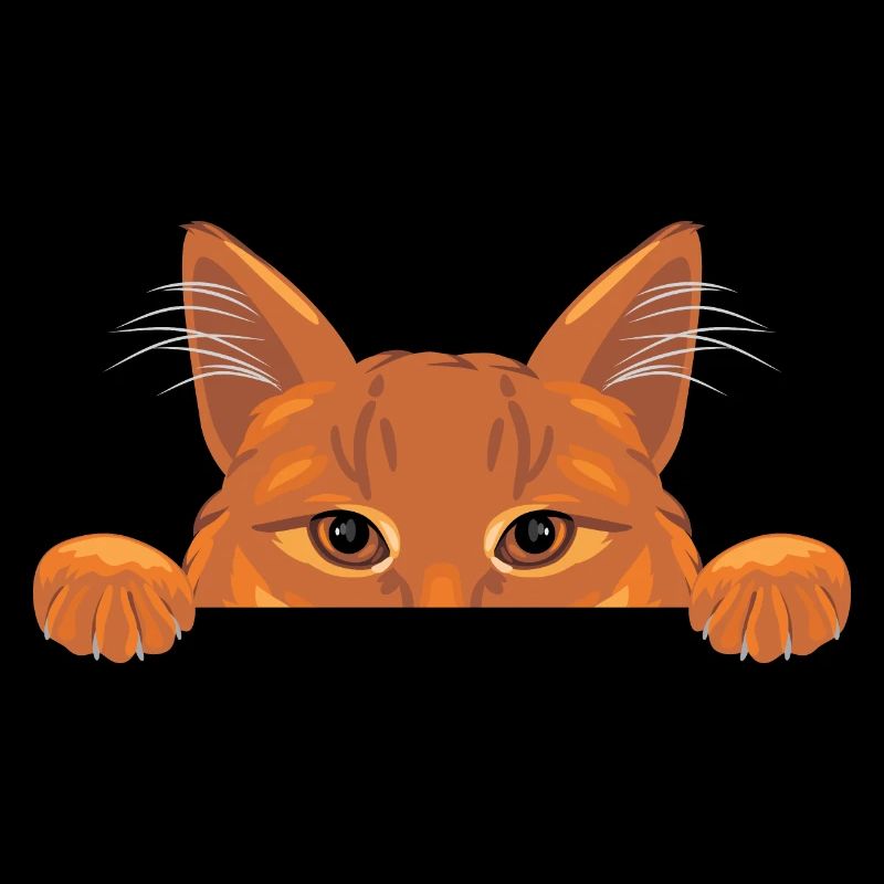 Chat au gingembre