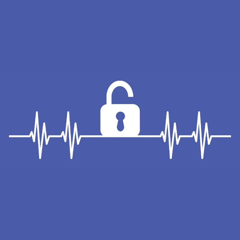 Lock Picker Lockpicking