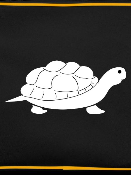 Turtle Turtle
