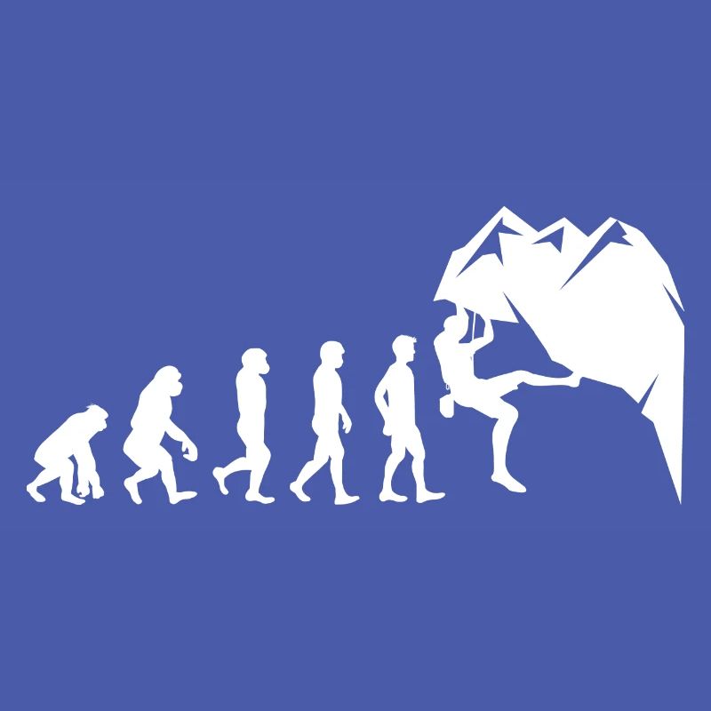 Escalade Bouldering Wall Climber Evolution