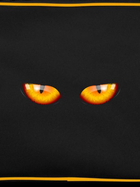 Dragon Eyes