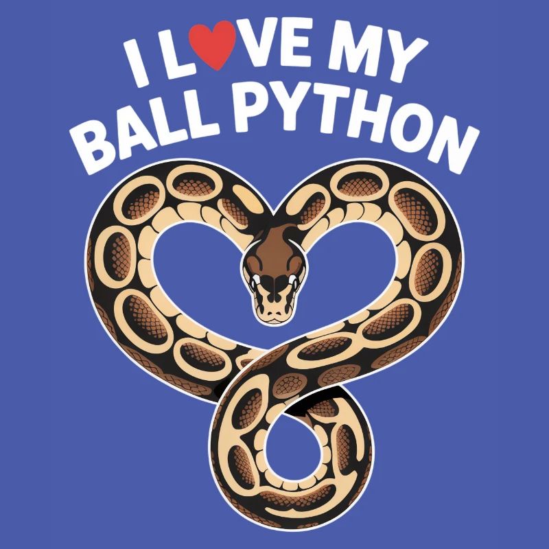 J’adore mon python royal ! Roi python