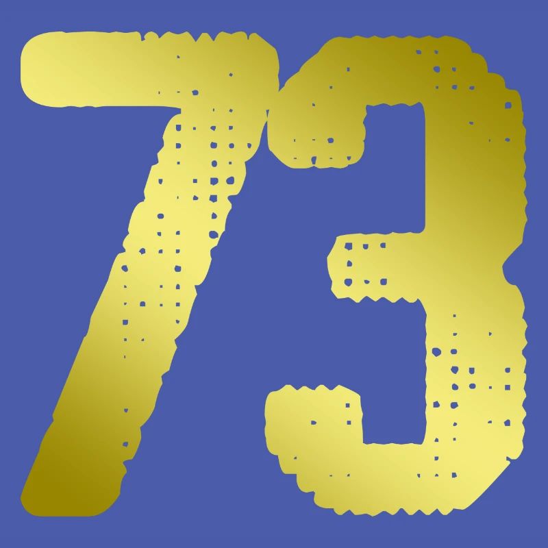 73 Maillot numéro