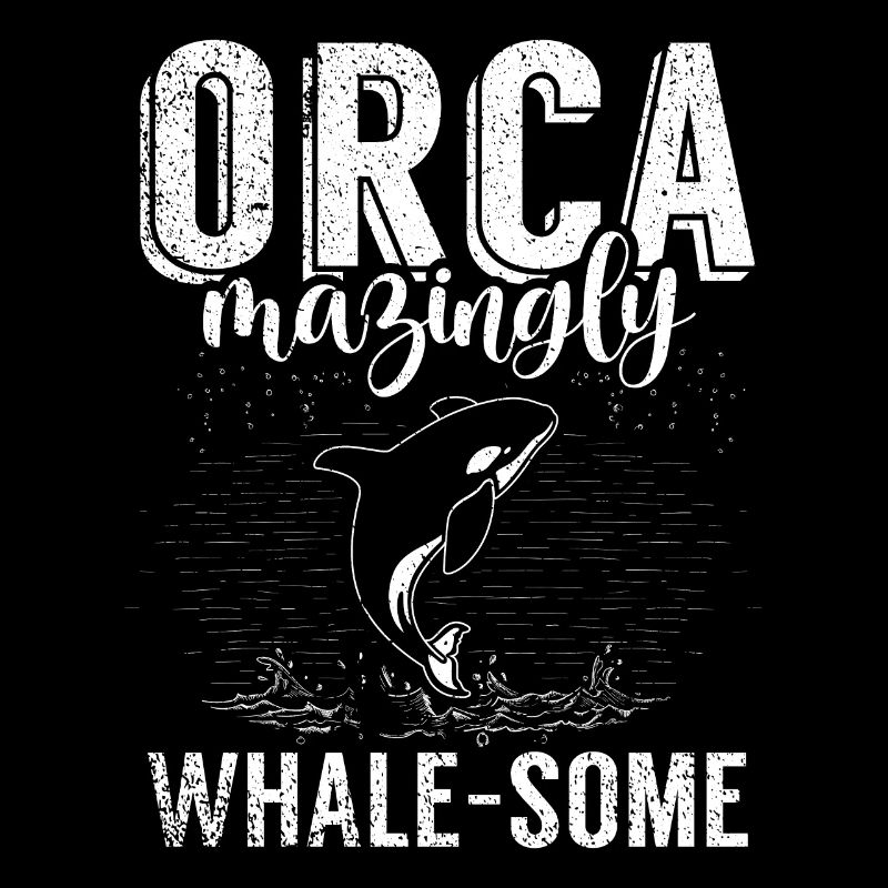 Killerwal Schwertwal Wale beobachten Orca Wal