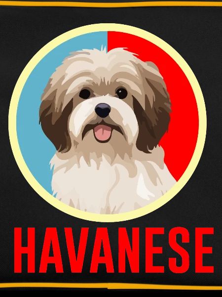 Havanais rétro