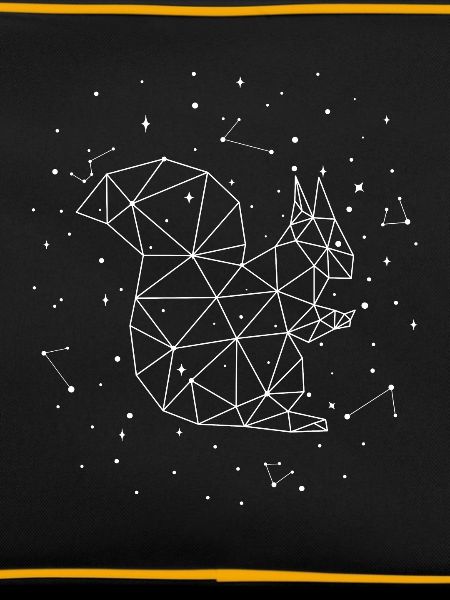 Constellation Squirrel Constellation Squirrel