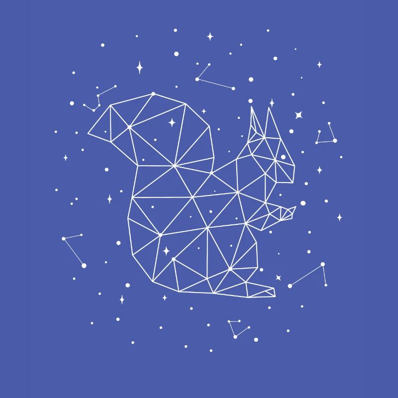Constellation Squirrel Constellation Squirrel
