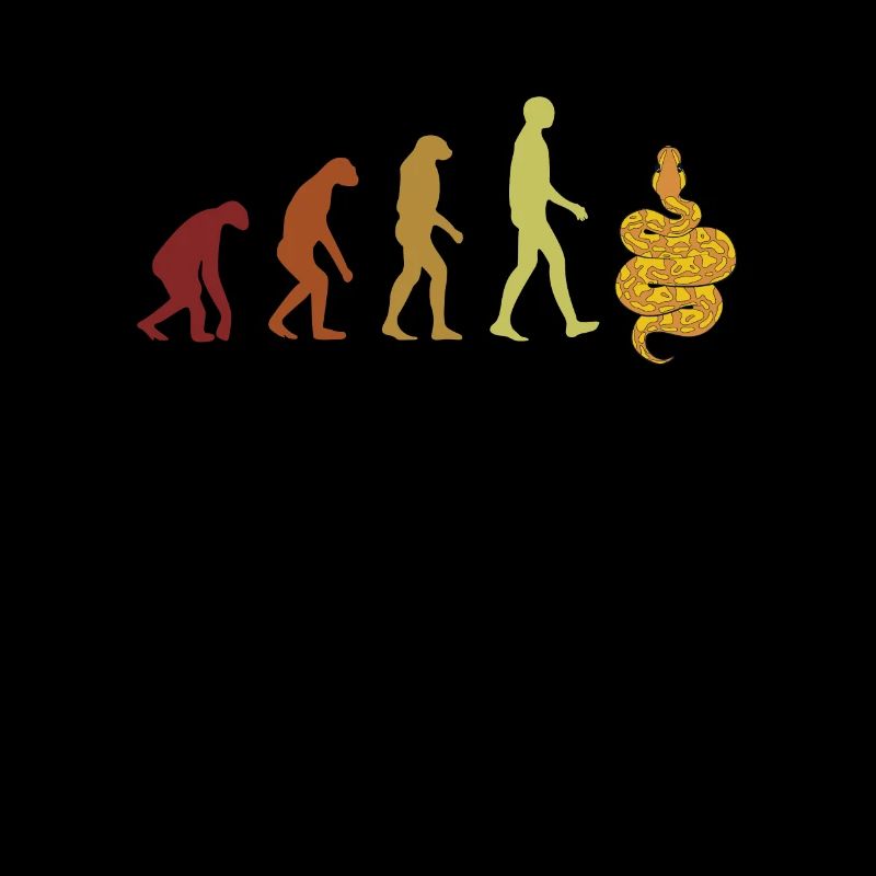 Banana Ball Python Evolution Python Banana Ball