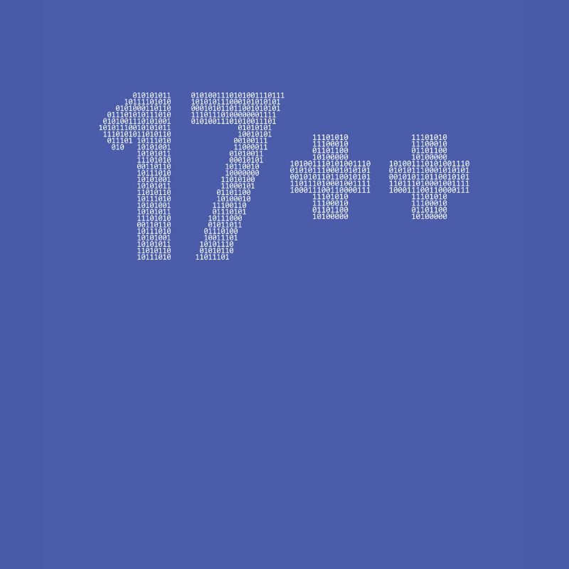 17++ Programmeur Développeur Codeur 18e anniversaire