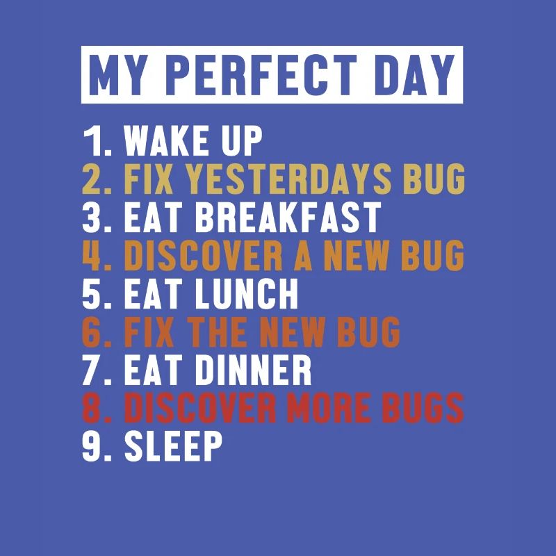 Fix Bugs Perfect Day Developer Coder Programmer
