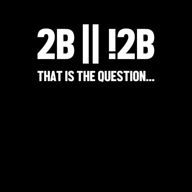 2B or not 2B Question Softwareingenieur Coder