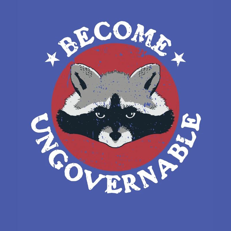 Raccoon Retro devient ingouvernable