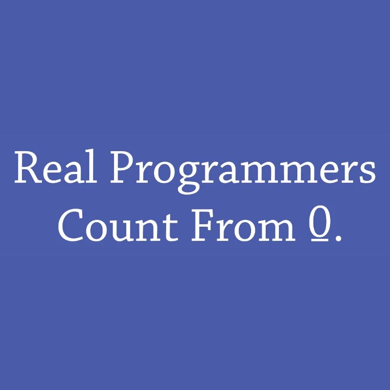 Programmer Coder Software Developer